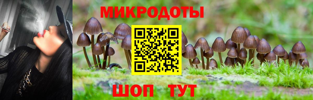 Псилоцибиновые грибы Cubensis Абакан